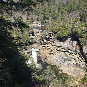 Meet your Posher, Randi